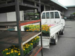 DSCF0421.jpg