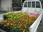 DSCF0422.jpg