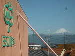 DSCF0492.jpg