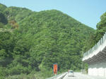DSCF0476.jpg