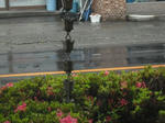 DSCF0536.jpg