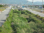DSCF0638.JPG