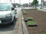 DSCF0697.JPG