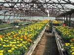 DSCF0709.JPG