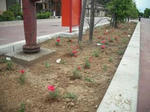 DSCF0823.JPG