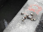 DSCF0825.JPG