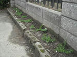 DSCF0830.JPG