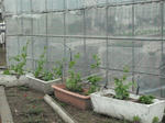 DSCF0832.JPG