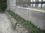 DSCF0925.JPG