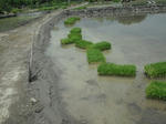 DSCF0927.JPG