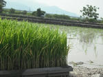 DSCF0928.JPG