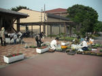 DSCF0937.JPG