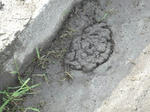 DSCF1020.JPG