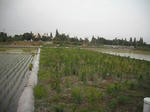 DSCF1015.JPG