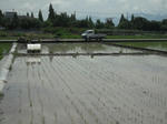DSCF1088.JPG