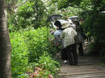 DSCF1136.JPG