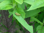DSCF1133.JPG