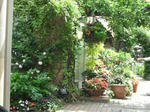 DSCF1141.JPG