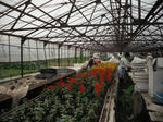 DSCF1280.JPG