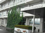 DSCF1375.JPG