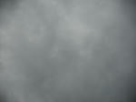 DSCF1448.JPG