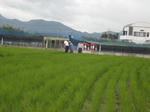 DSCF1523.JPG