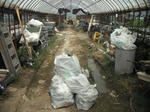 DSCF1554.JPG
