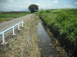 DSCF1552.JPG