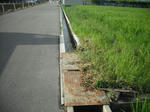 DSCF1568.JPG