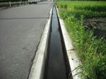 DSCF1571.JPG