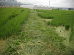 DSCF1588.JPG