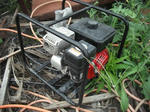 DSCF1612.JPG