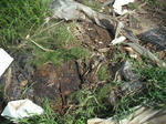 DSCF1645.JPG