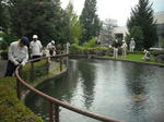 DSCF1665.JPG