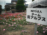 DSCF1782.JPG