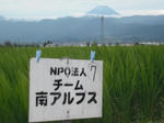DSCF1789.JPG