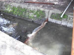 DSCF1867.JPG