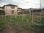 DSCF1884.JPG