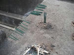 DSCF1974.JPG
