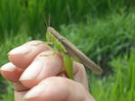 DSCF2078.JPG