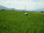 DSCF2103.JPG