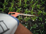 DSCF2152.JPG