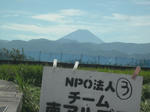 DSCF2373.JPG