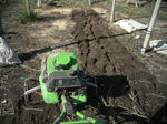 DSCF2446.JPG