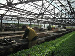 DSCF2474.JPG