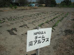 DSCF2486.JPG