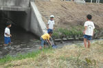 DSCF2525.JPG
