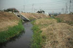 DSCF2517.JPG