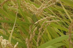 DSCF2536.JPG