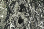 DSCF2563.JPG